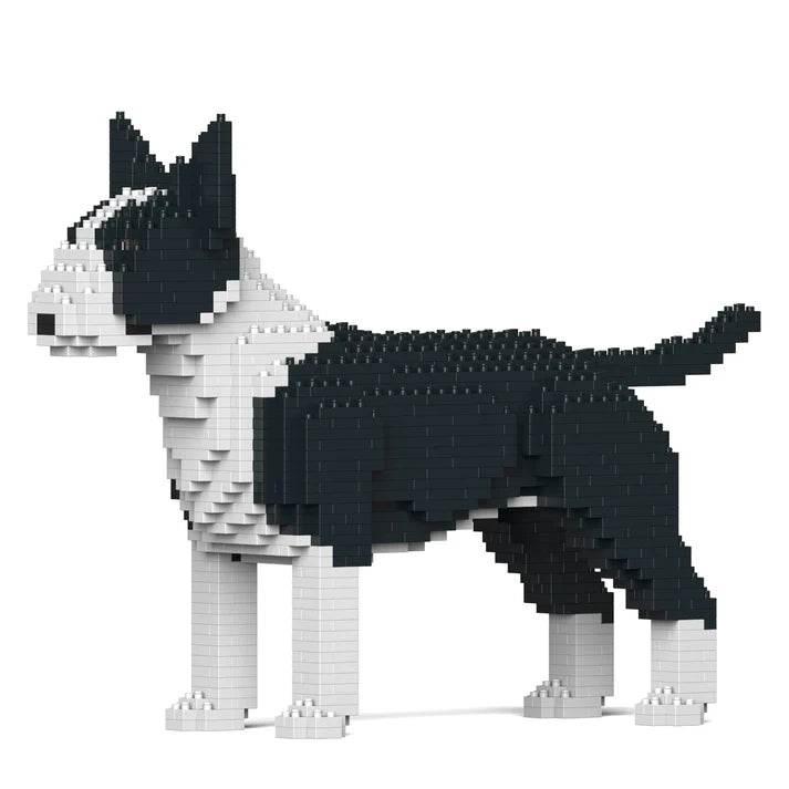 Bull terrier inglés 01-M01 