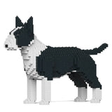 Bull terrier inglés 01-M01 