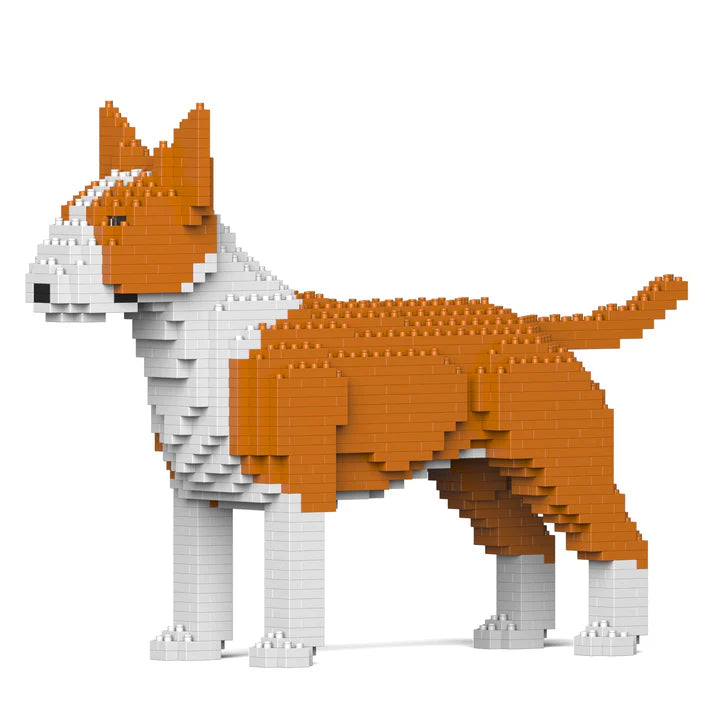 Englischer Bullterrier 01-M02 