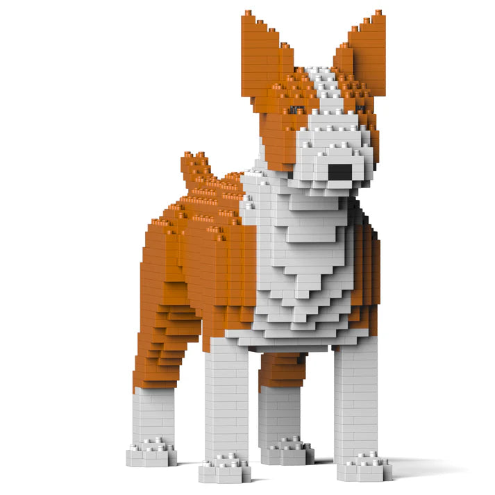 Englischer Bullterrier 01-M02 