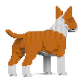 Englischer Bullterrier 01-M02 