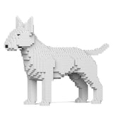 Englischer Bullterrier 01-M03 