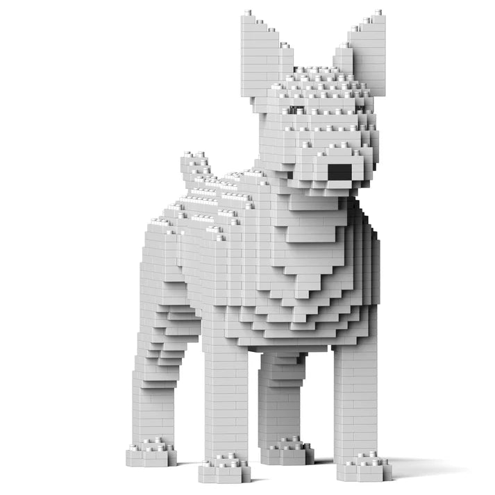 Englischer Bullterrier 01-M03 