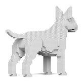 Englischer Bullterrier 01-M03 