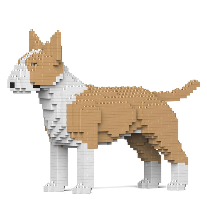 Englischer Bullterrier 01-M04 