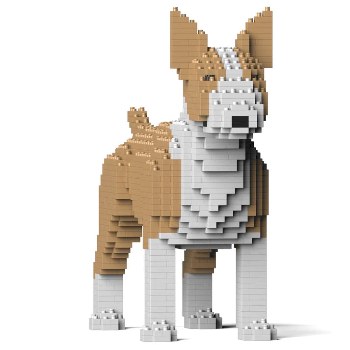 Englischer Bullterrier 01-M04 