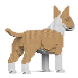 Englischer Bullterrier 01-M04 