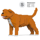 Staffordshire bull terrier 01-M01 