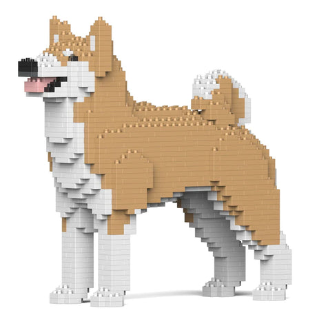 Akita Inu 01-M02 