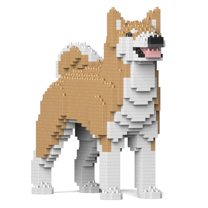 Akita Inu 01-M02 