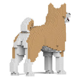 Akita Inu 01-M02