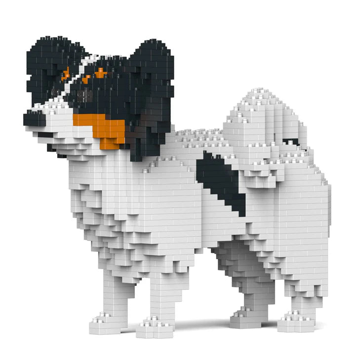 Papillon Hund 01-M01 