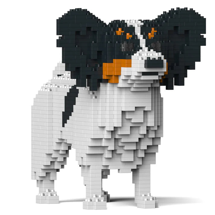 Perro Papillon 01-M01 