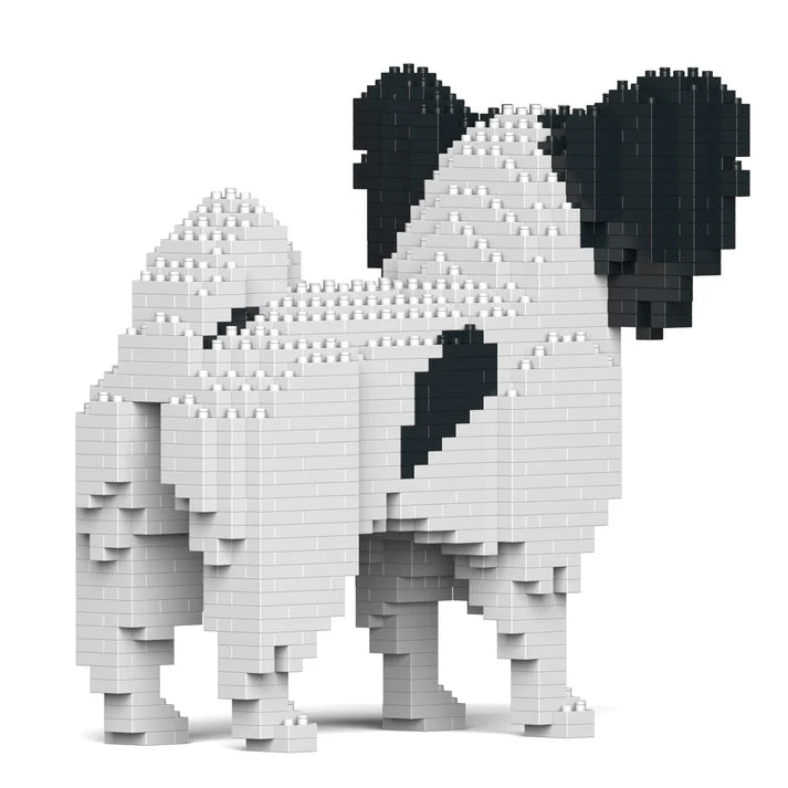 Perro Papillon 01-M01 