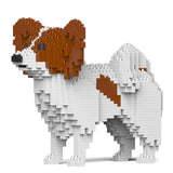 Papillon Hund 01-M02 