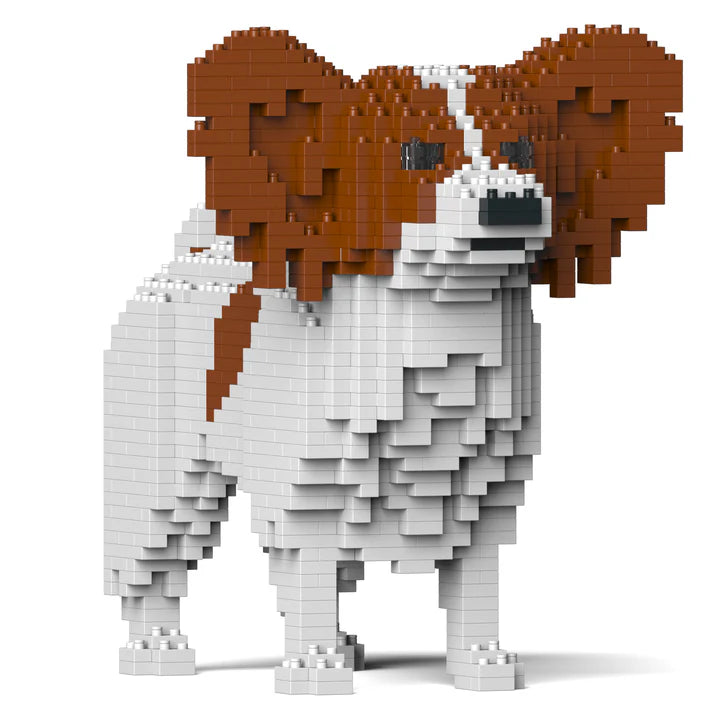 Papillon Hund 01-M02 