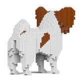 Papillon Hund 01-M02 