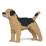 Border Terrier 01-M01 