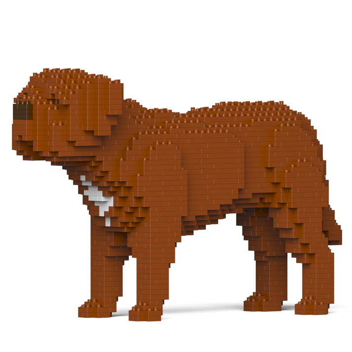 Dogue De Bordeaux 01