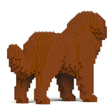 Newfoundland Dog 01-M01