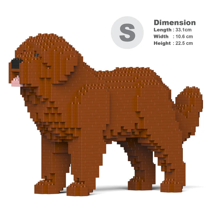 Newfoundland Dog 01-M01