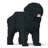 Newfoundland Dog 01-M02