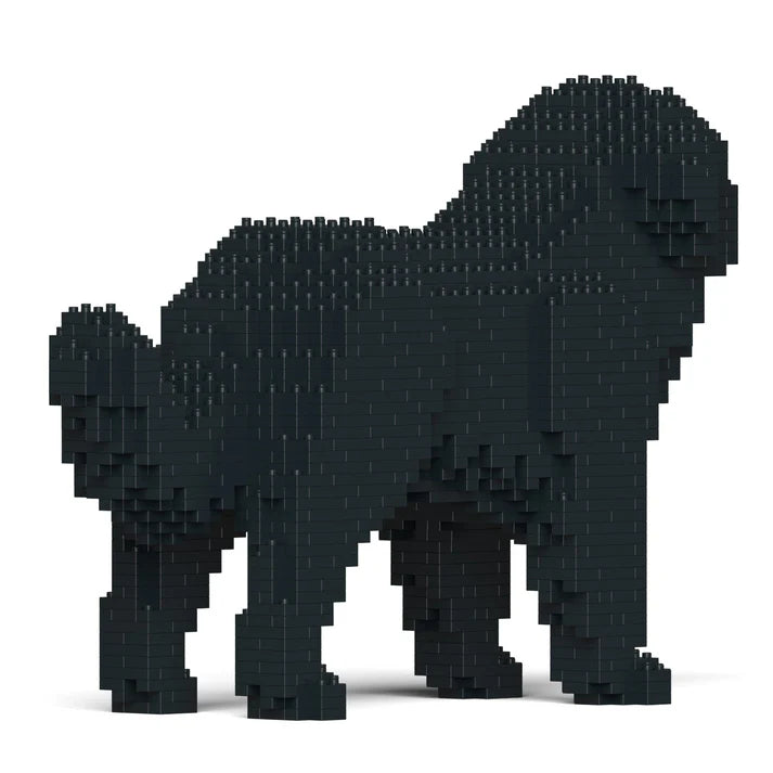 Newfoundland Dog 01-M02