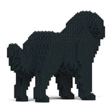 Newfoundland Dog 01-M02