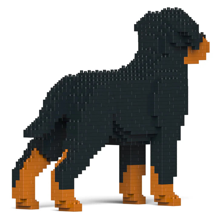 Rottweiler 02 