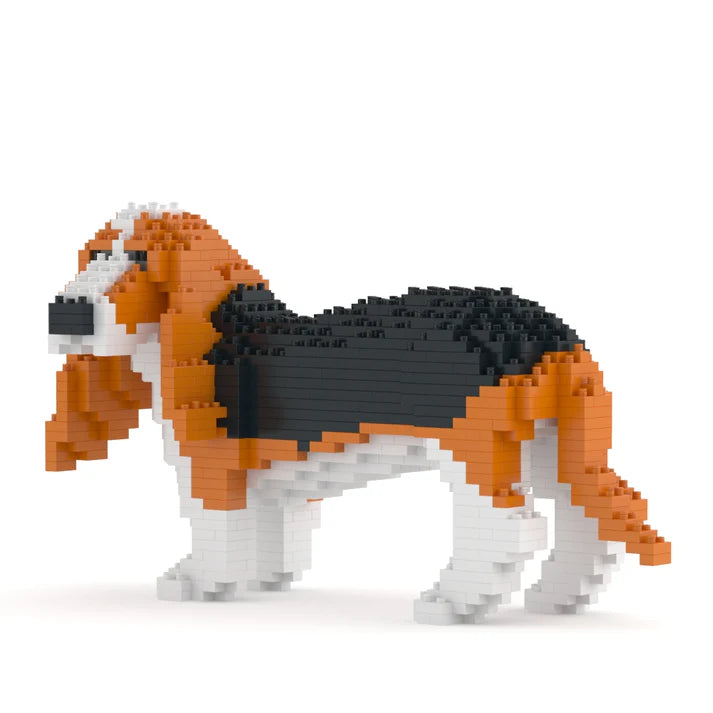 Basset Hound 01-M01 