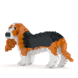 Basset Hound 01-M01 