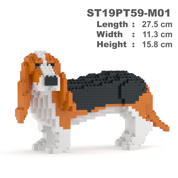 Basset Hound 01-M01 