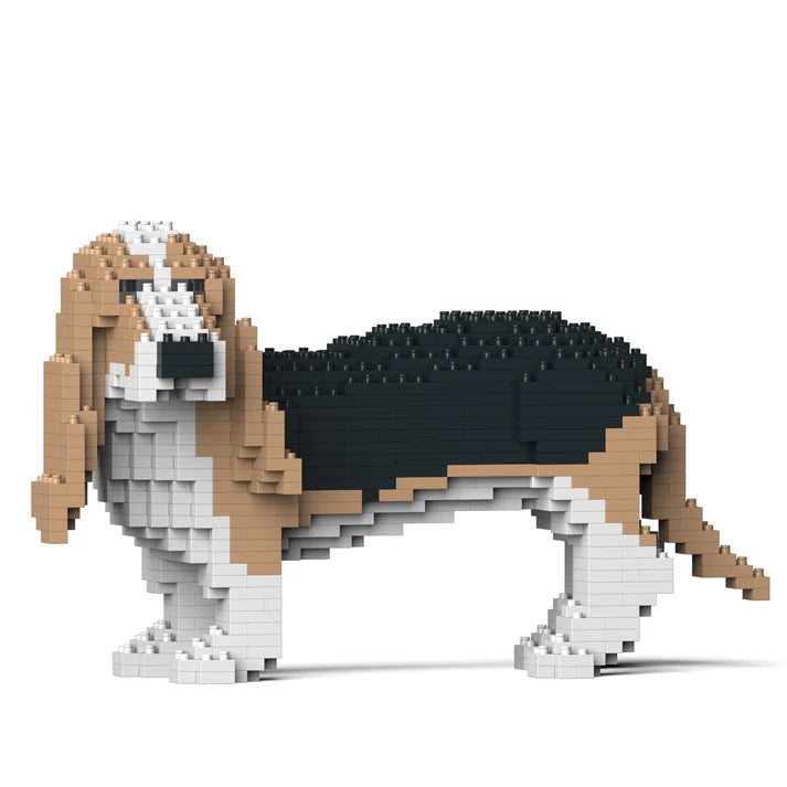 Perro Basset 01-M02 