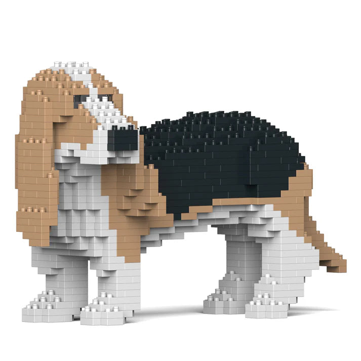 Perro Basset 01-M02 