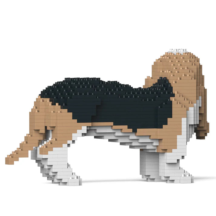 Perro Basset 01-M02 