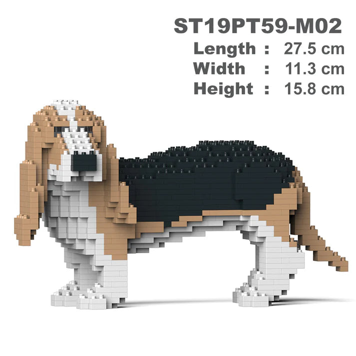 Perro Basset 01-M02 