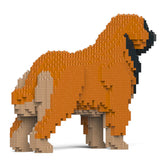 Leonberger 01-M01