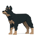 Australian Kelpie 01-M01