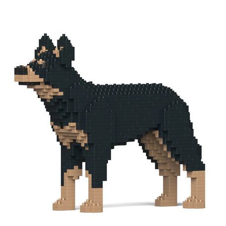 Australischer Kelpie 01-M01 