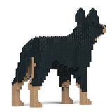 Australischer Kelpie 01-M01 