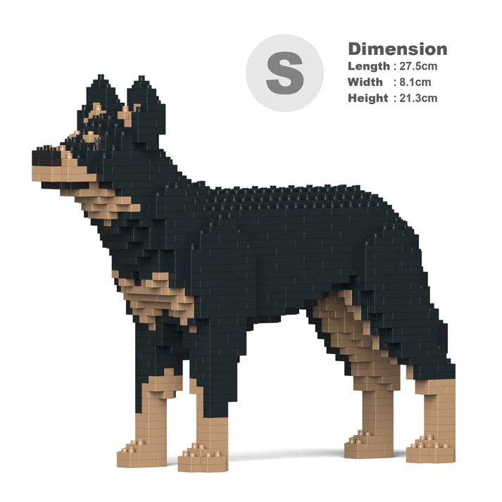 Australischer Kelpie 01-M01 