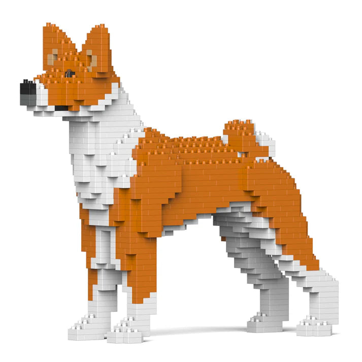 Basenji 01-M01 