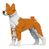 Basenji 01-M01