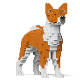 Basenji 01-M01 