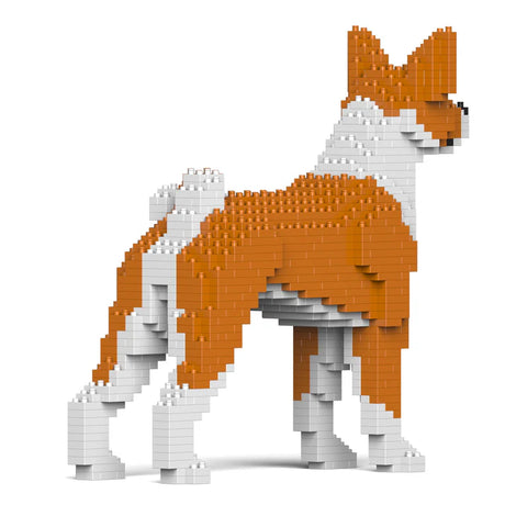 Basenji 01-M01 