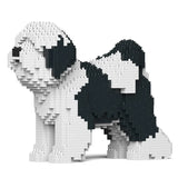 Tibet Terrier 01-M02 