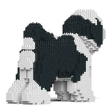 Tibetan Terrier 01-M02