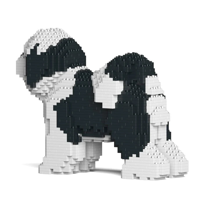 Tibet Terrier 01-M02 