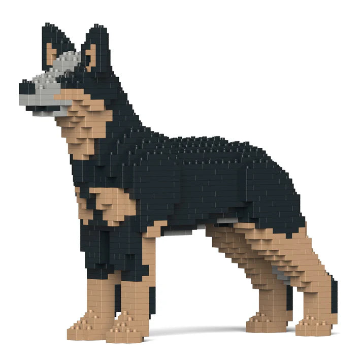 Australischer Treibhund 01-M01 