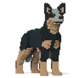 Australischer Treibhund 01-M01 